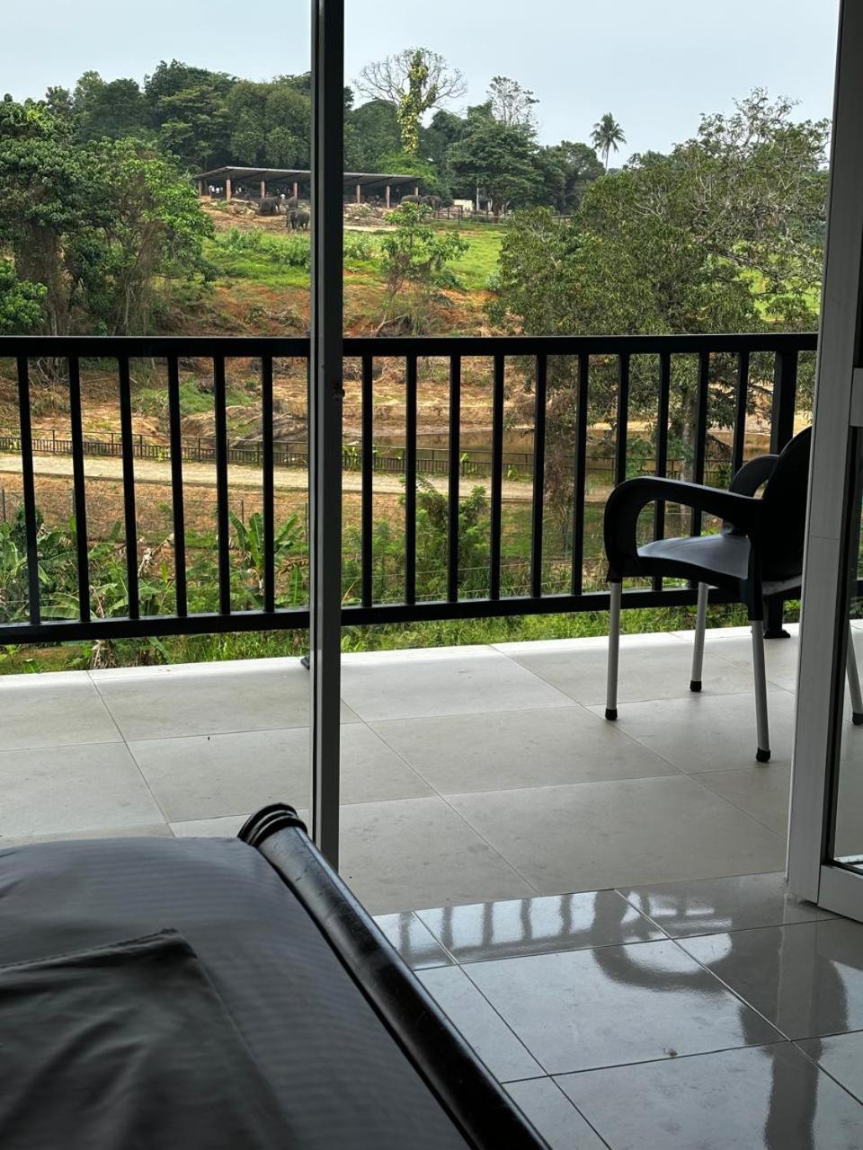 Pinnawala Elephant Front View Hotel Rambukkana Exterior photo